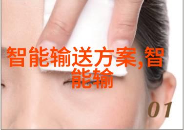 消声器的神秘世界如何让声音悄无形迹