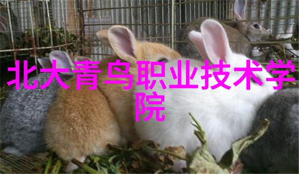 不锈钢304方管规格表不锈钢材料的方形精密管道尺寸标准