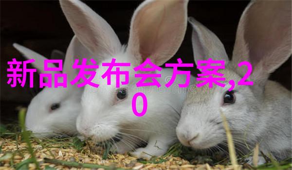 NikonD7000拆机一窥究竟CMOS果然是Sony货