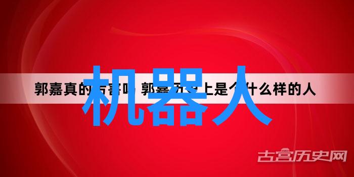 可行性项目报告范文我是怎么一步步写出完美的可行性报告的
