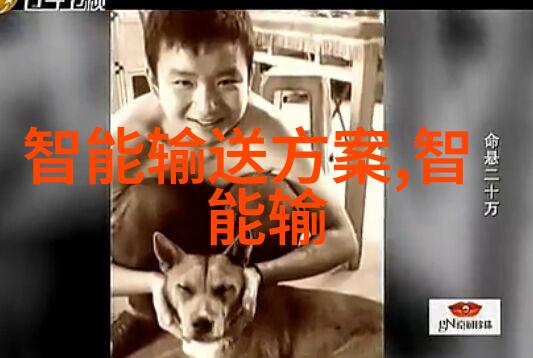 未来战场的隐秘守护者智能装备与系统专业的无声觉醒