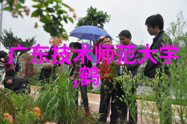 去离子水反渗透制水机-清新源自本源揭秘高效的家用净水解决方案