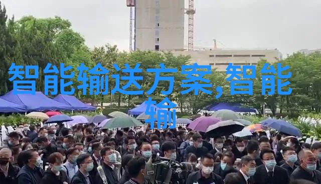 撰写高效情况报告的艺术技巧与要点总结