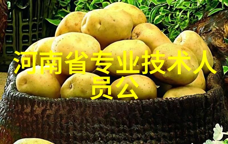 超声波清洁与蒸汽杀菌家用卧式压力灭菌器的操作艺术