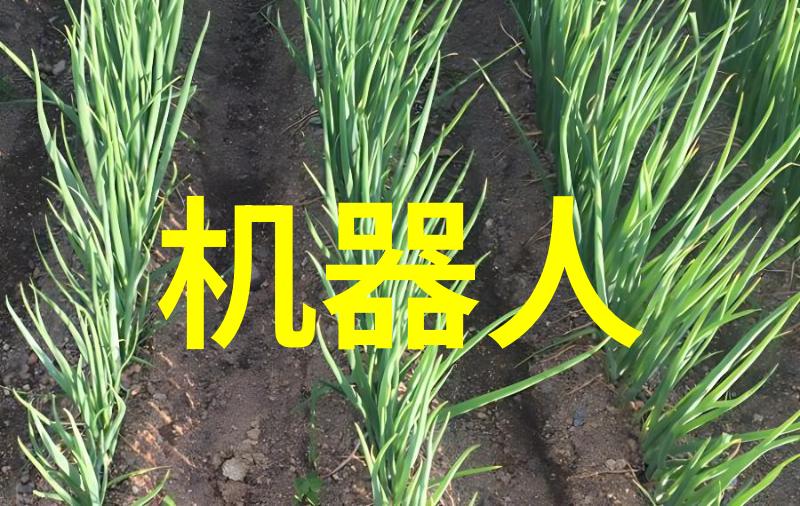 安徽电子信息职业技术学院我这里的故事