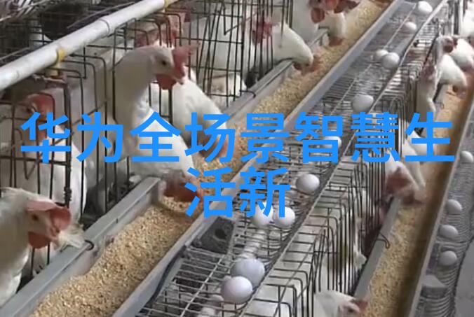 美容直播一边亲着一面膜下的30分钟视频