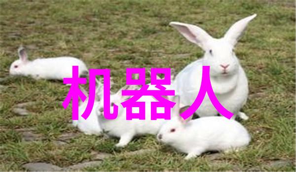 公交车上六人轮换乘客系统高效交通管理
