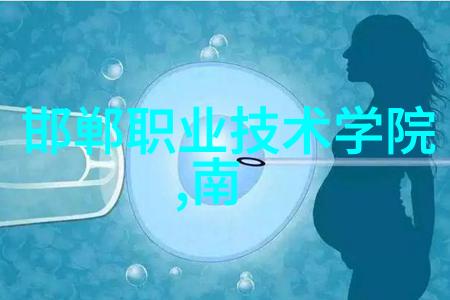 不锈钢矩鞍环填料标准规范确保工业设备的高效运行与安全性