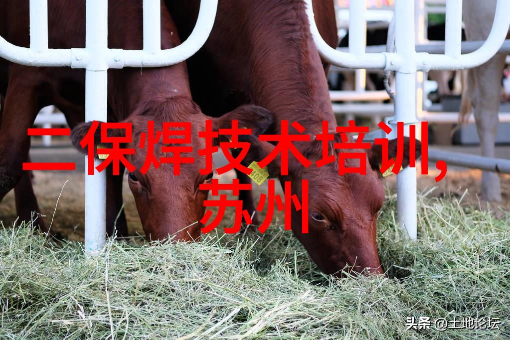 小型医院污水处理一体机技术奇迹还是隐秘杀手
