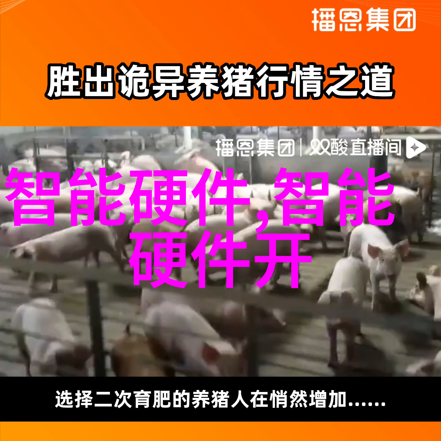 化工之韵贮存设备的诗篇
