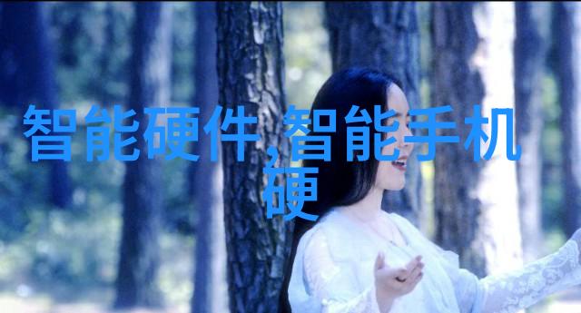 河东电子智能家居领域的先锋人物述职报告
