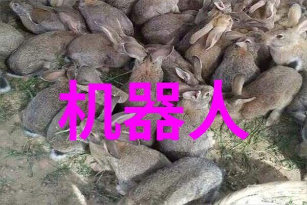影视界新星闪耀最新剧集惊喜大曝光