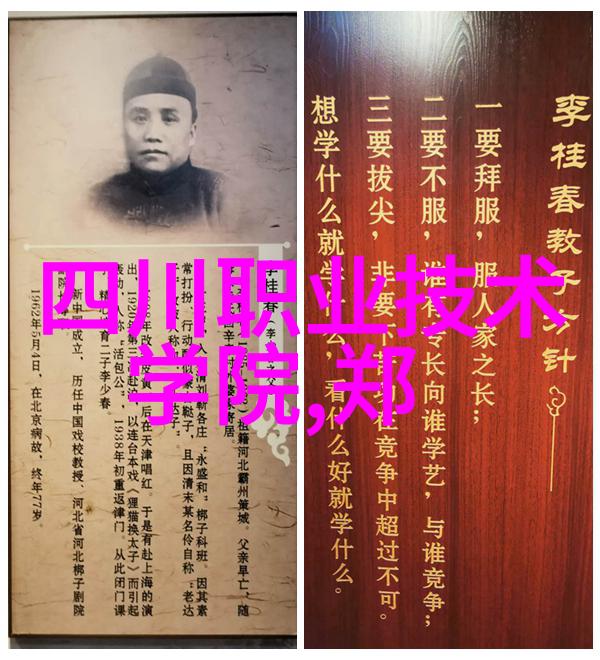山东财经大学-青铜峪学府探索山东财经大学的教育创新与成就