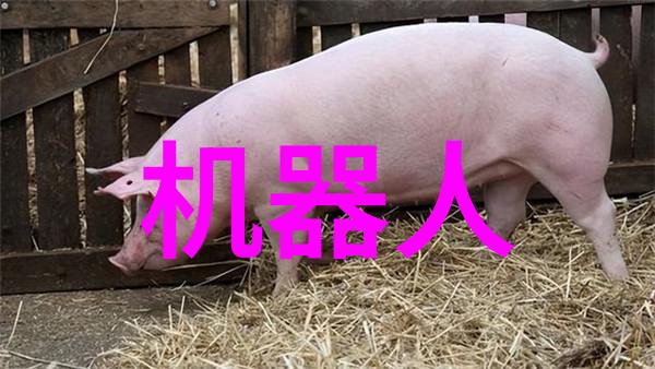旋转离心萃取器高效分离技术的精髓