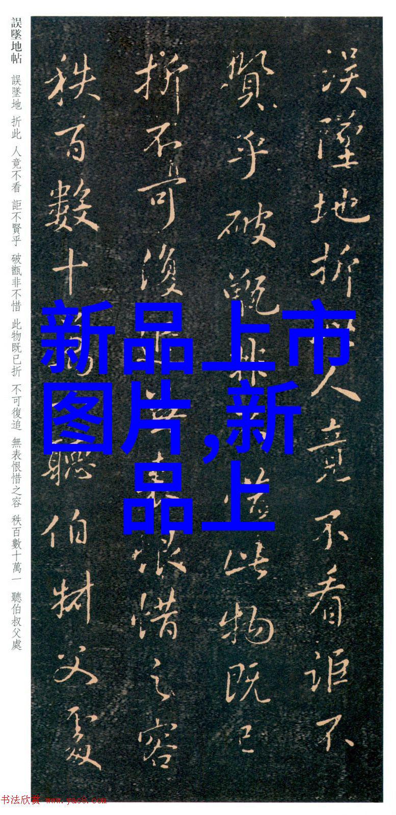 化工输送设备我的忠实助手