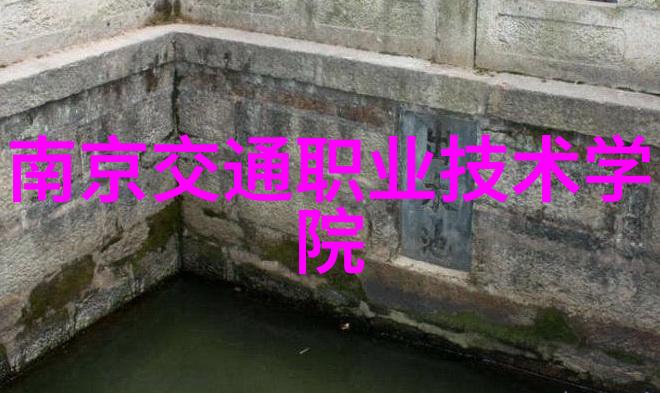 独树一帜的专业设置江西财经大研发出的特色学位项目
