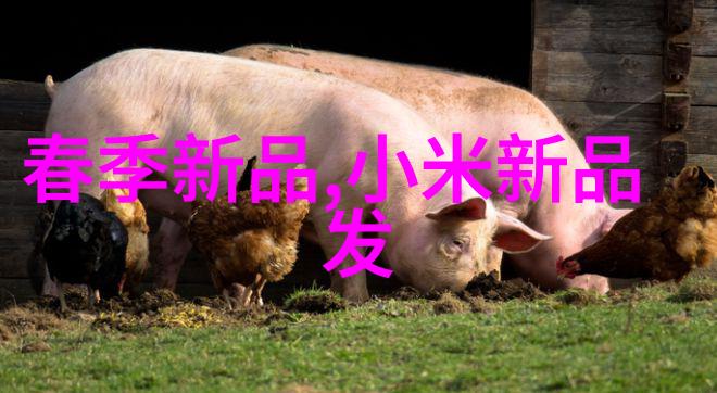 bx500填料参数配置指南精准控制材料性能