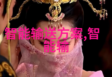 申请费用的双重面纱剖析透明度与隐晦之争