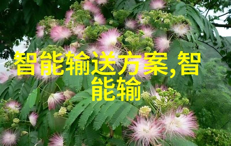 等保测评专家保障信息安全的前行者