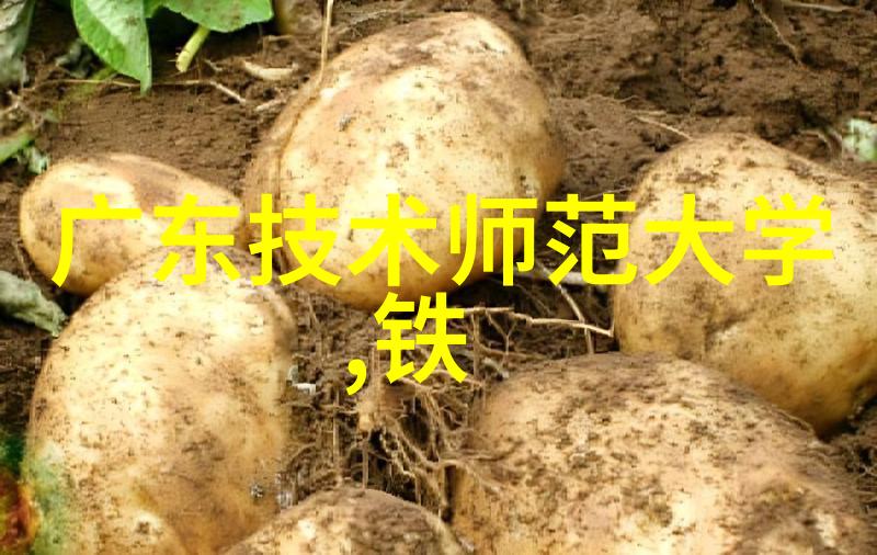 实时资讯分析探讨当代社会动态的多元视角