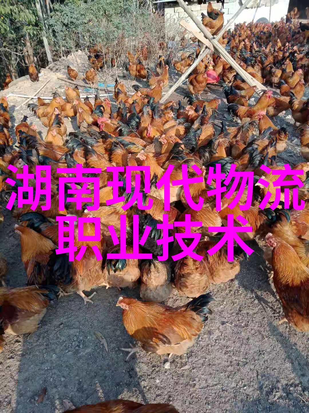 上海分离机-上海分离机守护城市水质的无形英雄