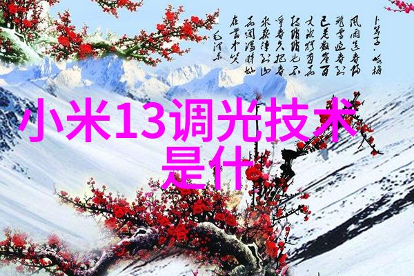 跨越边界的禁令美国对华为芯片的禁运背后的故事