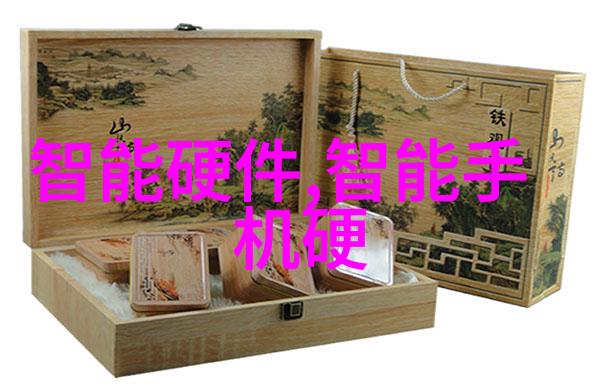医院可穿戴设备的奇妙世界从健康监测到治疗辅助