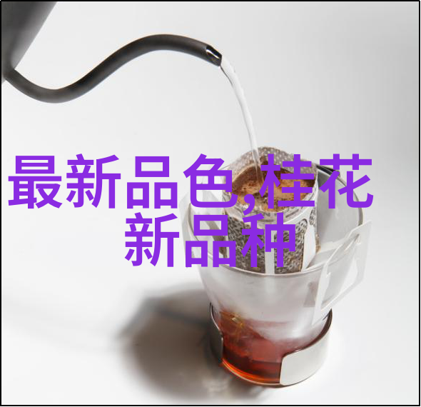 使用可行性报告书写模板进行风险评估与控制策略制定
