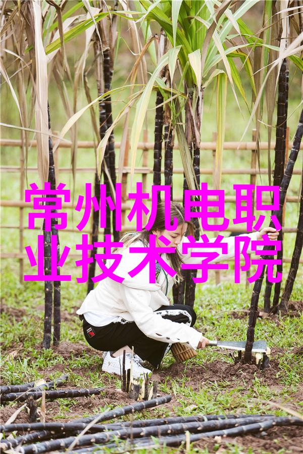 金属弯曲艺术精密法兰弯头管件的工匠之道