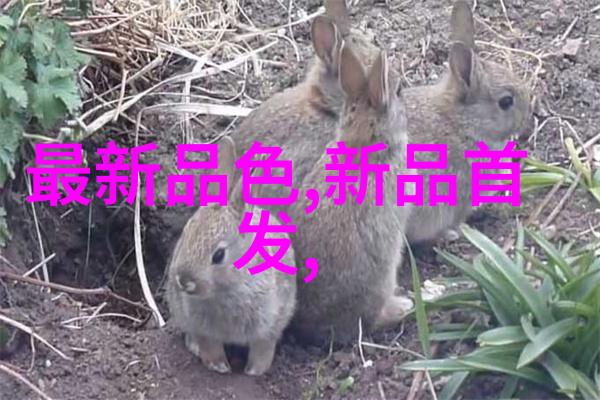 文本隐杀数据隐私的新挑战