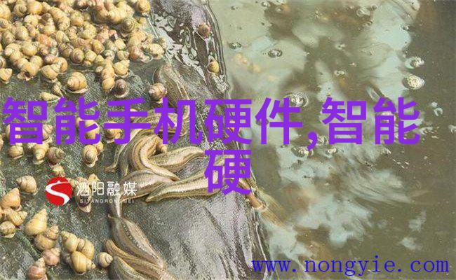 神经植入技术在重度瘫痪患者触觉功能恢复中的应用研究