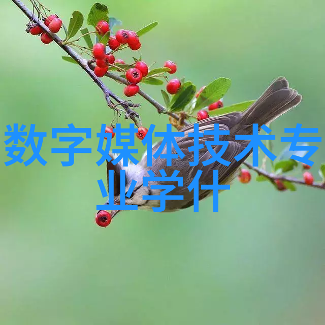 海川化工论坛潮涨智慧波涛激荡的创新之浪