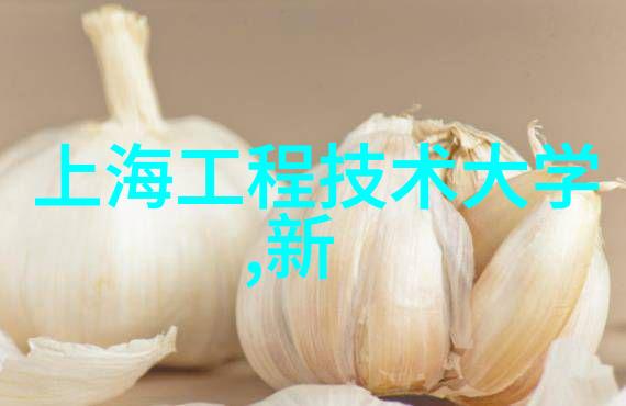 人才评估的重量探索公司人力测评的重要性