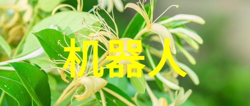 佳能500d室内摄影棚广角设置建议