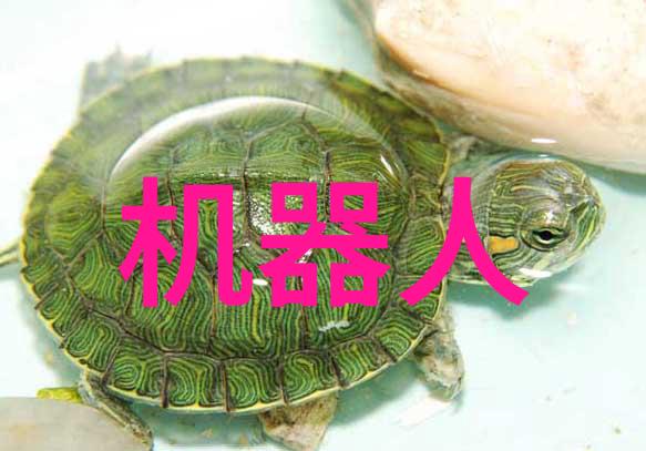 芯片设计学什么专业-探索微电子领域的精妙艺术与技术