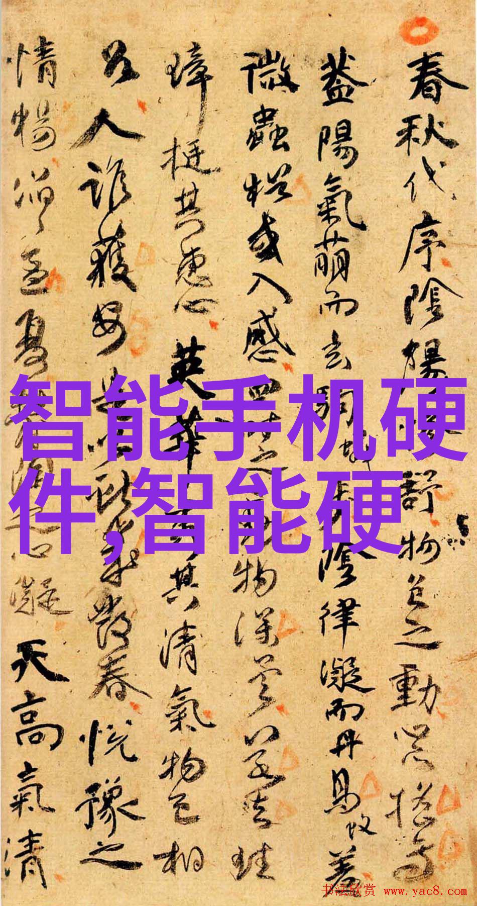 免费观影盛宴姑娘二带你入门