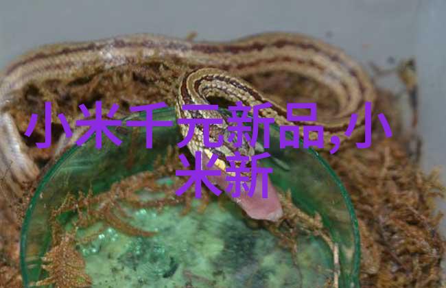 揭秘未来的口袋苹果新品发布会的神秘之谜