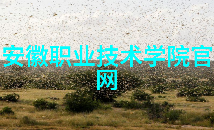 智能手表使用教程从搭建到精通