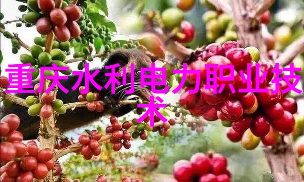 人工智能是青春饭专业吗-机器代替新时代青年的职业选择与人工智能的关系