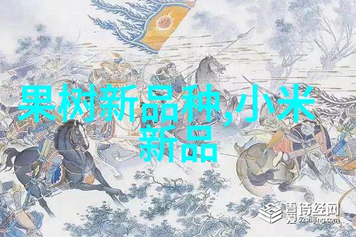 年度报告个人总结回顾成长展望未来