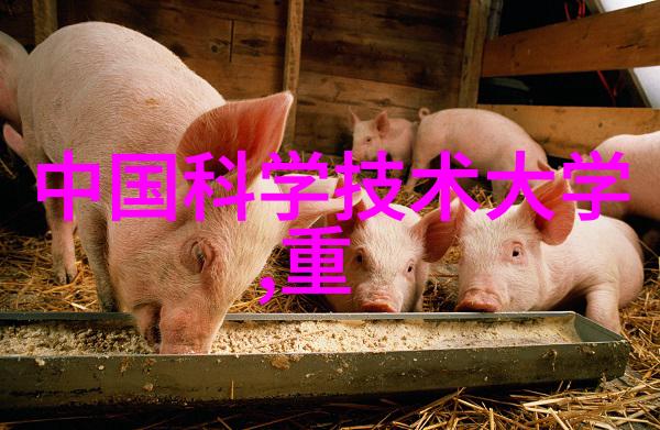 中国半导体设备公司的研发投入占营收的比例是多少