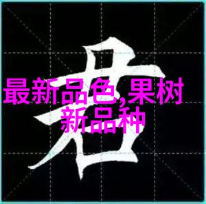 金属市场动态不锈钢价格走势图解析