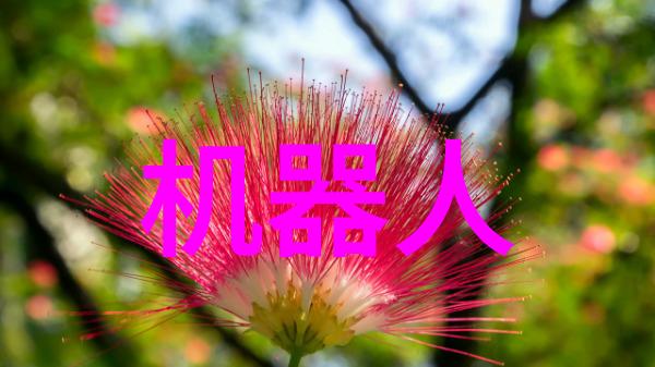革新体验最新一代平板电脑新品亮相带来更轻薄更强大性能