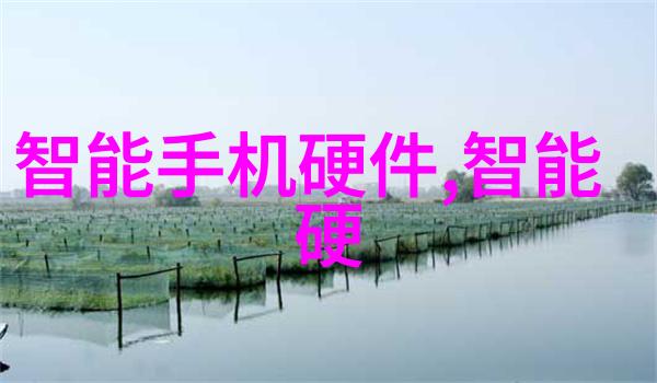 食品包装消毒必备设备揭秘杀菌机紫外线灯与超声波清洗器的应用