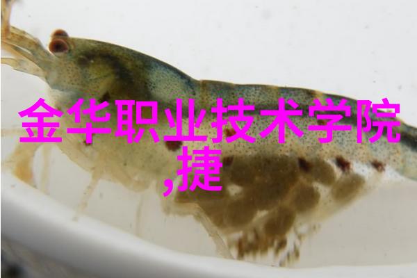 中美科技竞争中的芯片制造角度