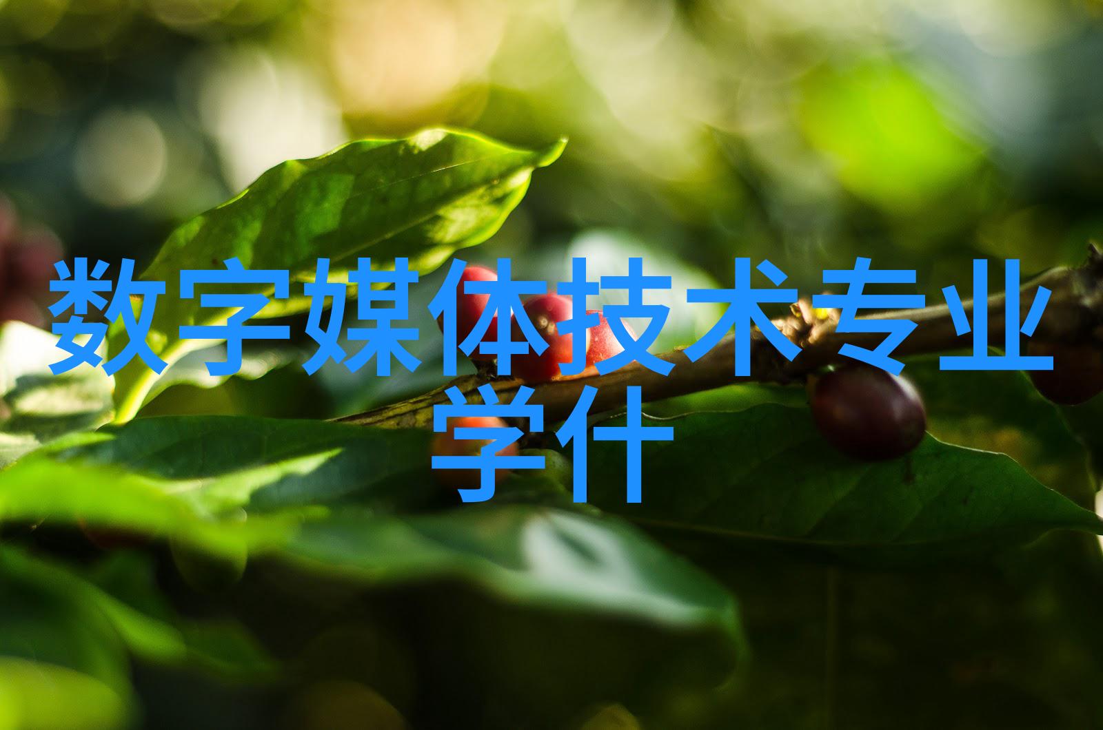 主题我亲眼见到八重神子喂奶给迷路的旅行者