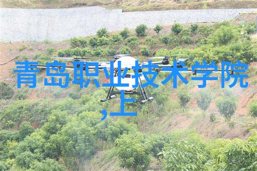 陕西财经职业技术学院-财经智源技能双馨深入探究陕西财经职业技术学院的教育特色与未来发展