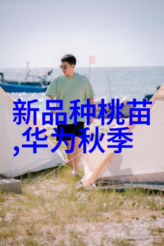 国产GPU独角兽摩尔线程启动A股上市进程天玑9200性能相当于骁龙水平在社会层面引发热议