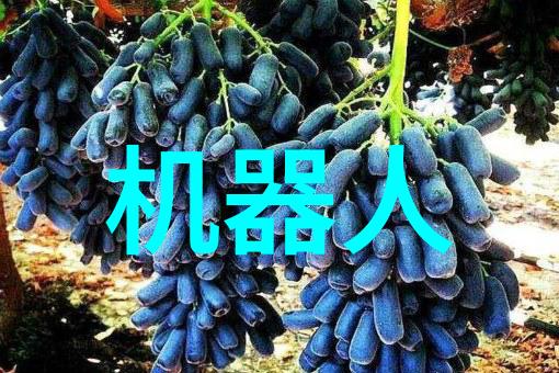 聚乙烯管材的选择与应用PE100级在工程中的角色