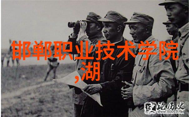 一个人看的www高清免费观看-独处时光探索个人观看平台的新篇章